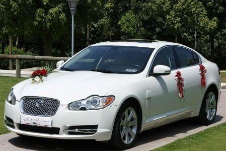 The White Jaguar XF