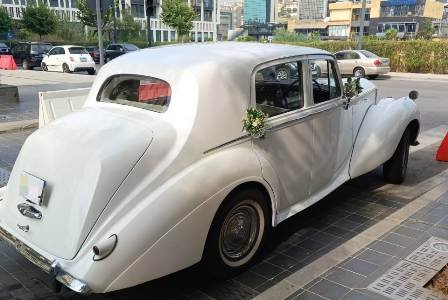 The back side of the vintage wedding Rolls-Royce Bentley 1953 with the nice Beirut skyline in background